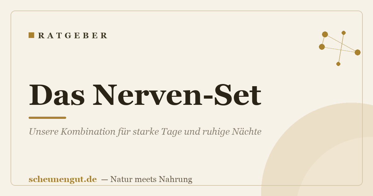 Das Nerven-Set: Unsere Kombination für starke Tage und ruhige Nächte