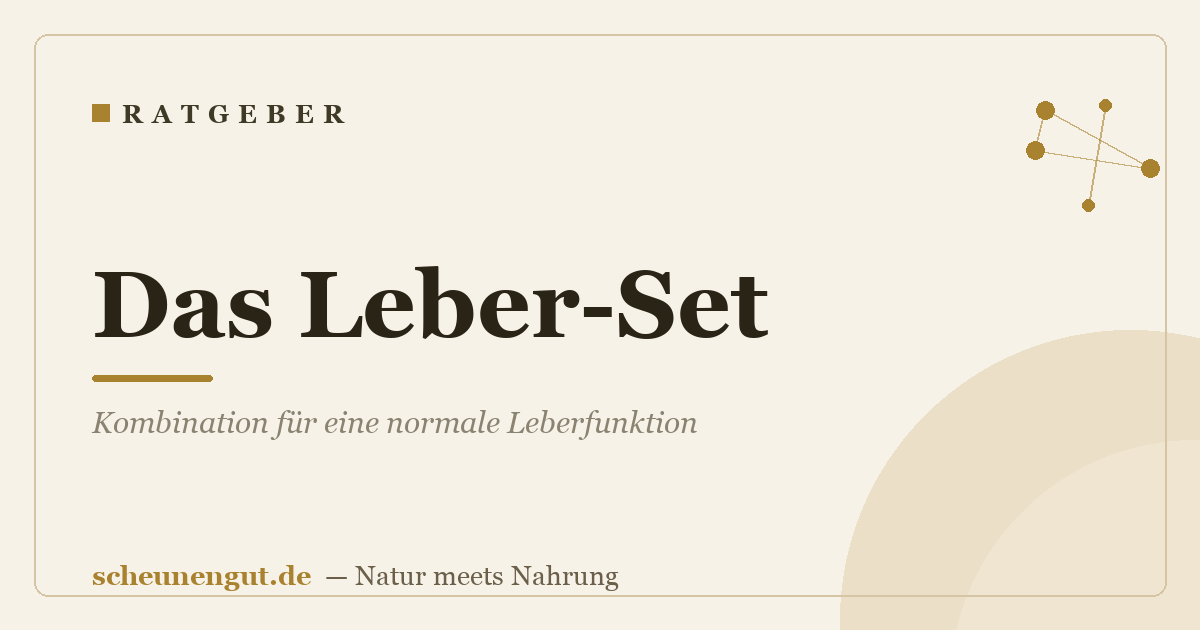 Das Leber-Set: Kombination für eine normale Leberfunktion