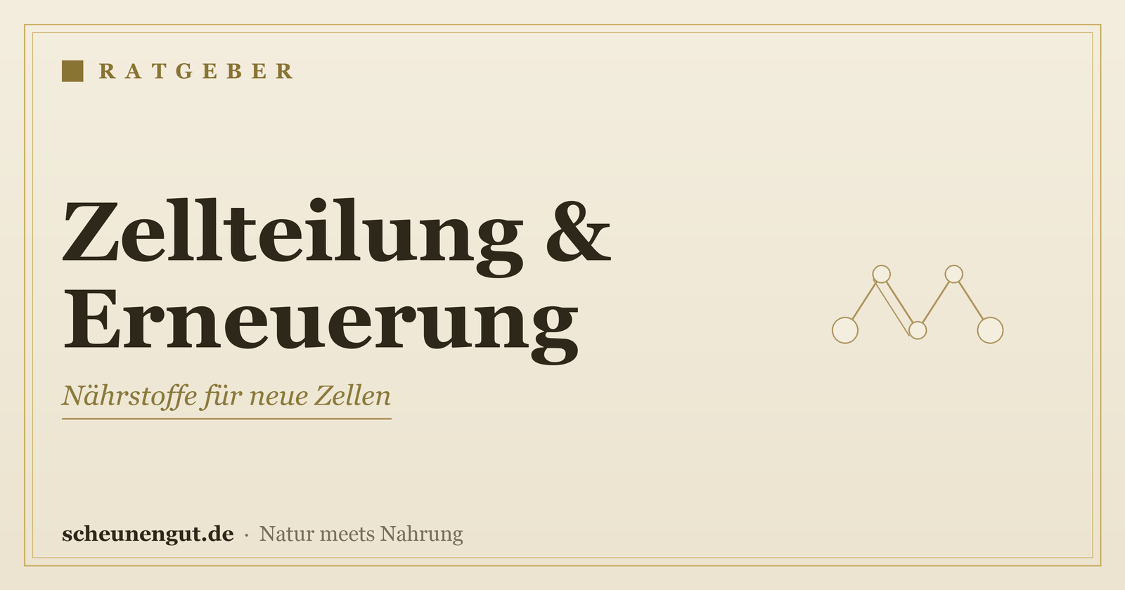 Nährstoffe für die Zellteilung und Zellerneuerung – Ratgeber von Scheunengut
