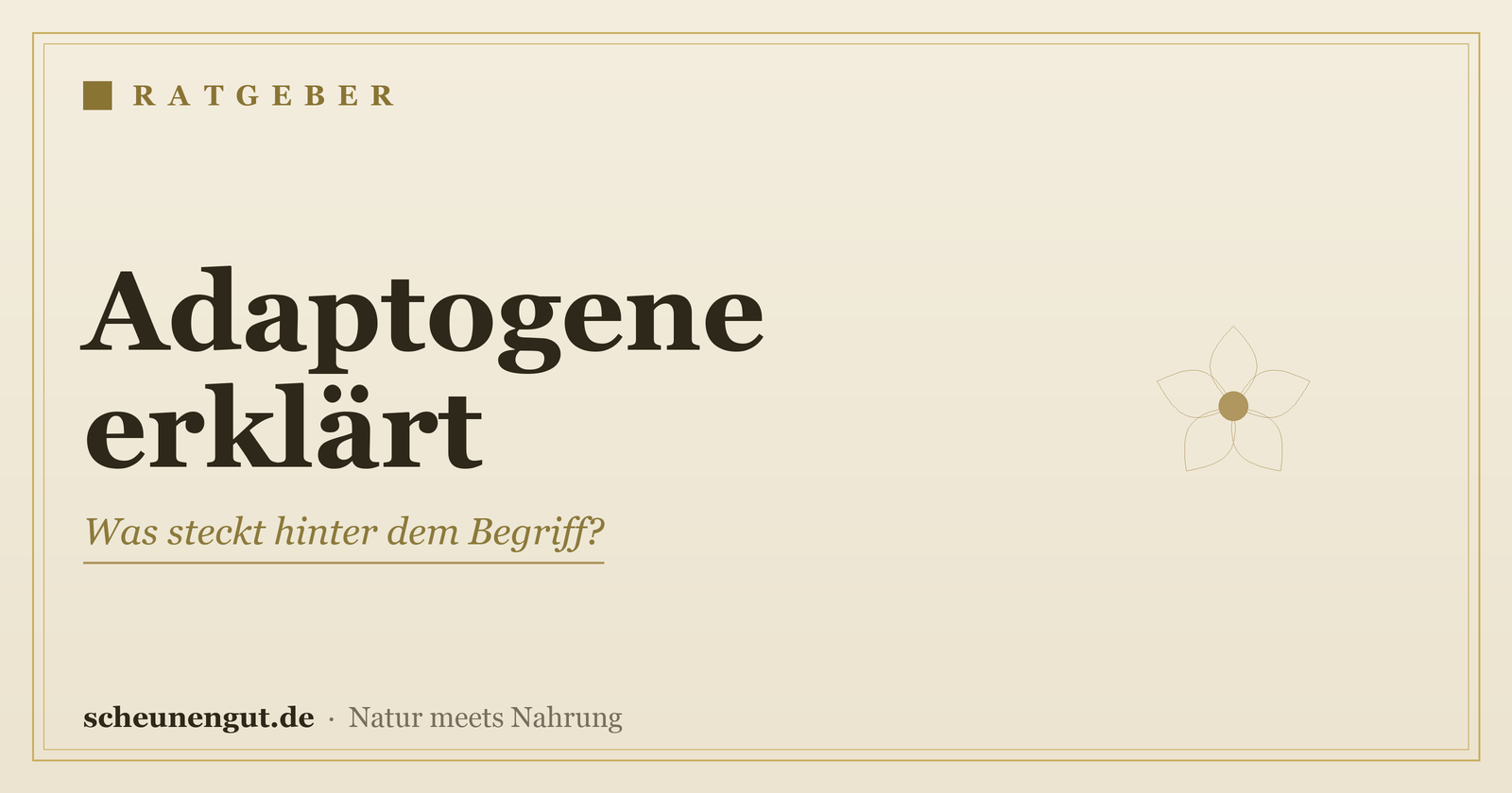 Adaptogene: Was steckt hinter dem Begriff? – Ratgeber von Scheunengut