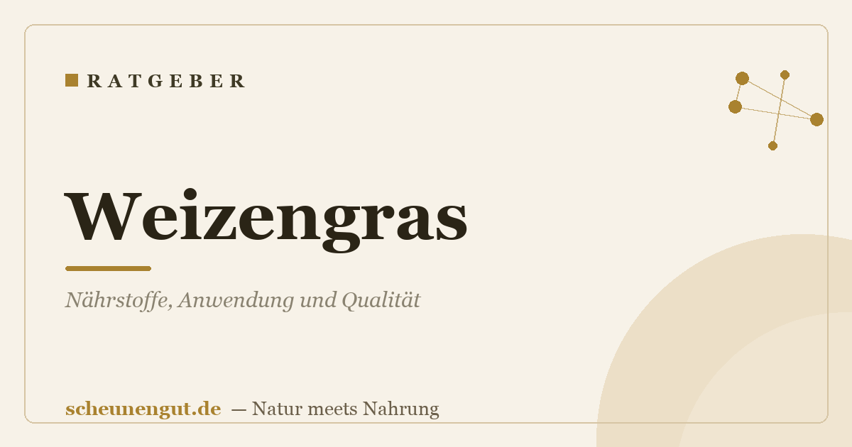 Weizengras: Nährstoffe, Anwendung und Qualität