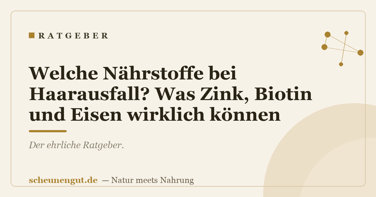 Welche Nährstoffe bei Haarausfall? Was Zink, Biotin und Eisen wirklich können