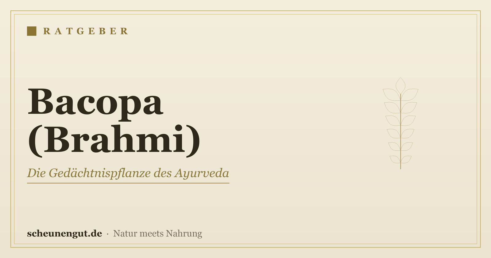 Bacopa Monnieri (Brahmi) & Gedächtnis – Ratgeber von Scheunengut