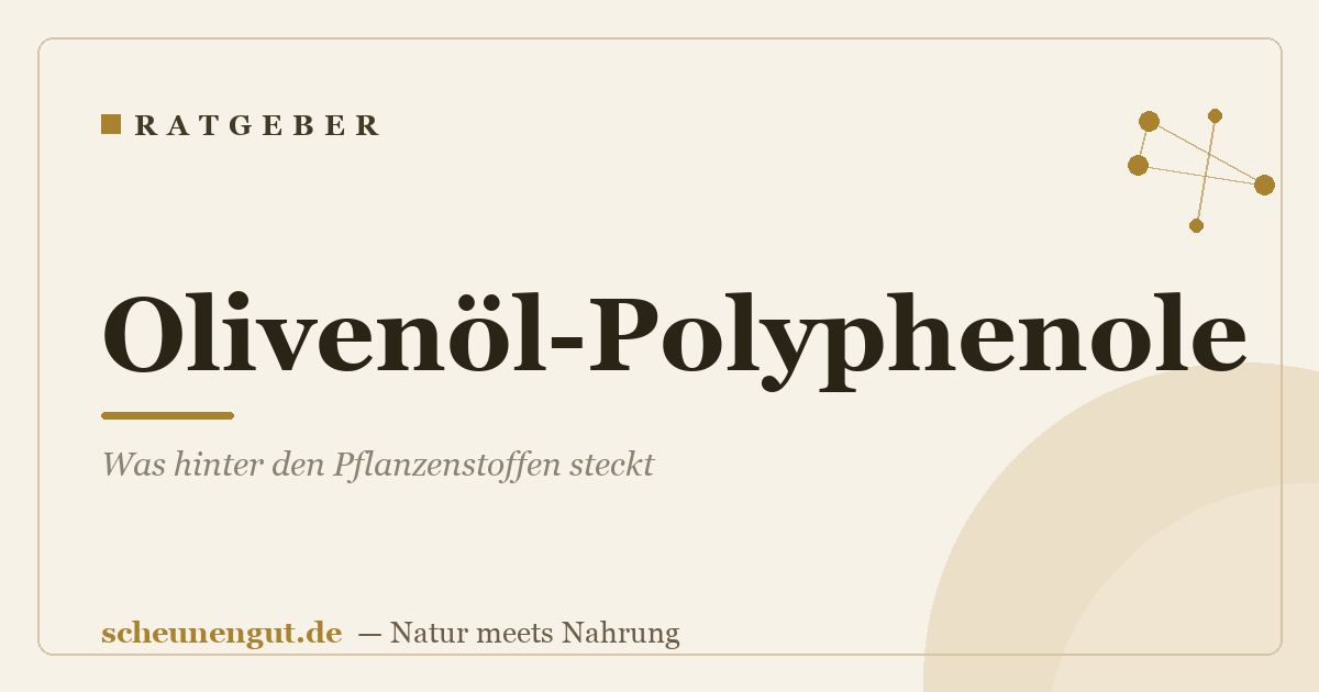 Olivenöl-Polyphenole: Was hinter den Pflanzenstoffen steckt