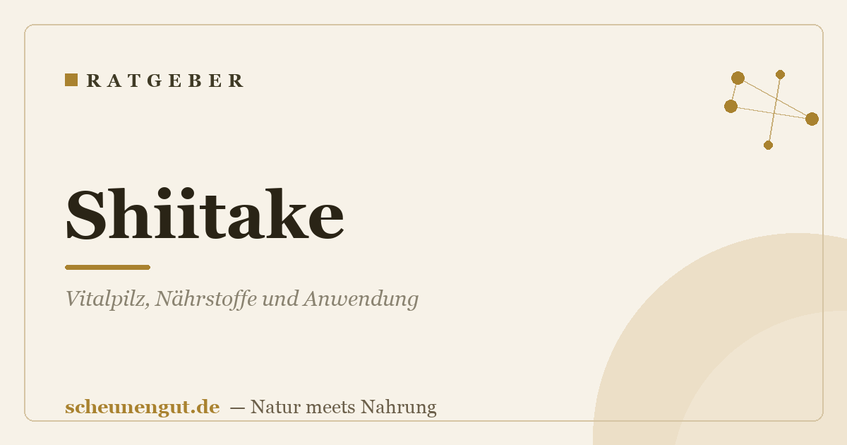 Shiitake: Vitalpilz, Nährstoffe und Anwendung