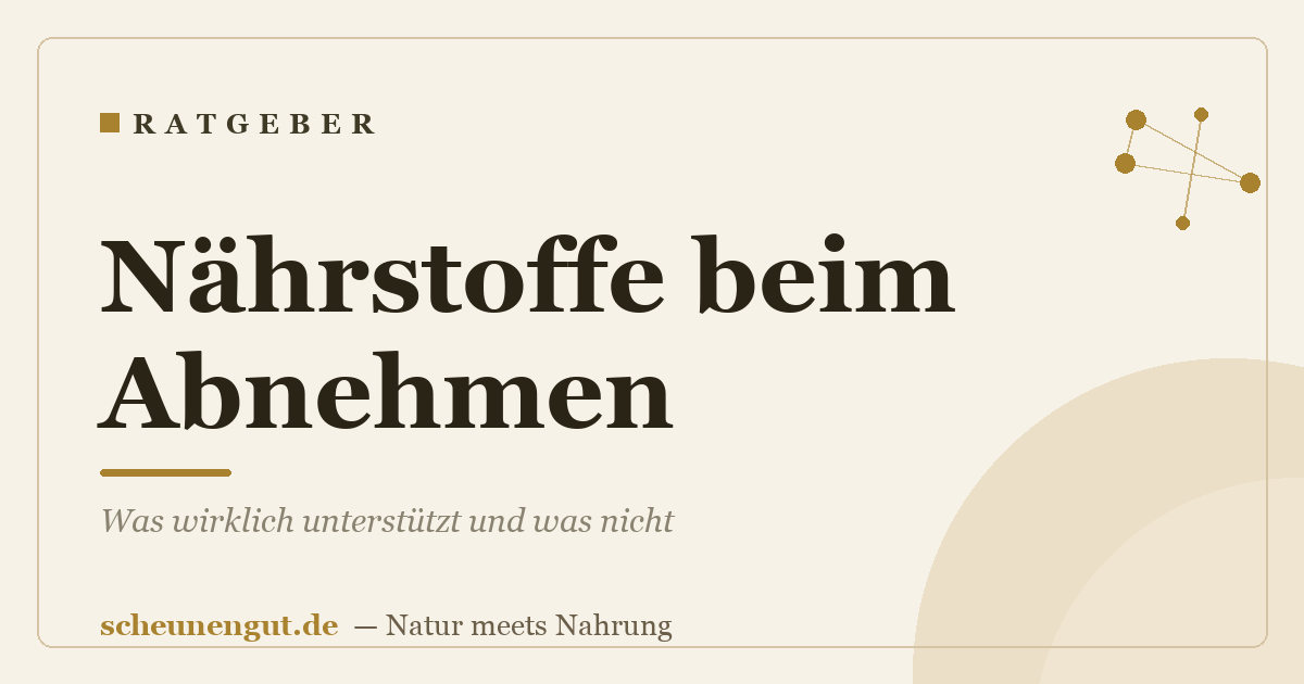 Nährstoffe beim Abnehmen: Was wirklich unterstützt und was nicht