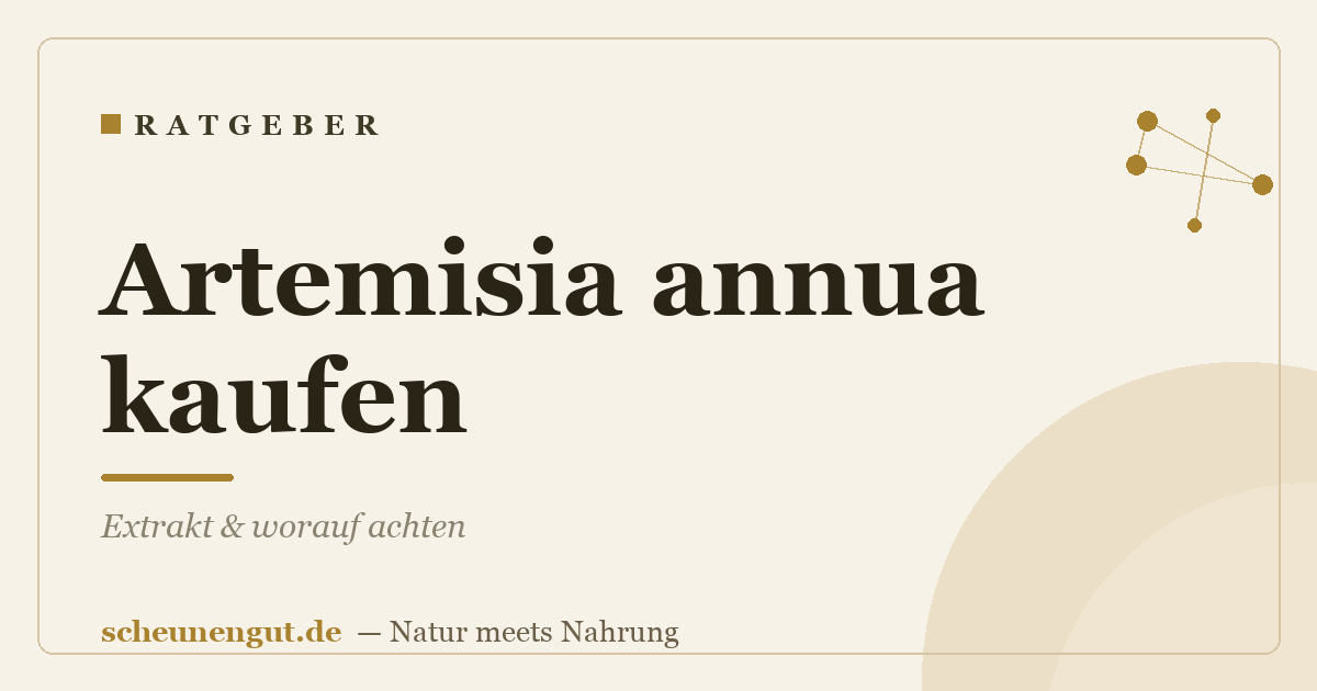 Artemisia annua kaufen: Extrakt & worauf achten