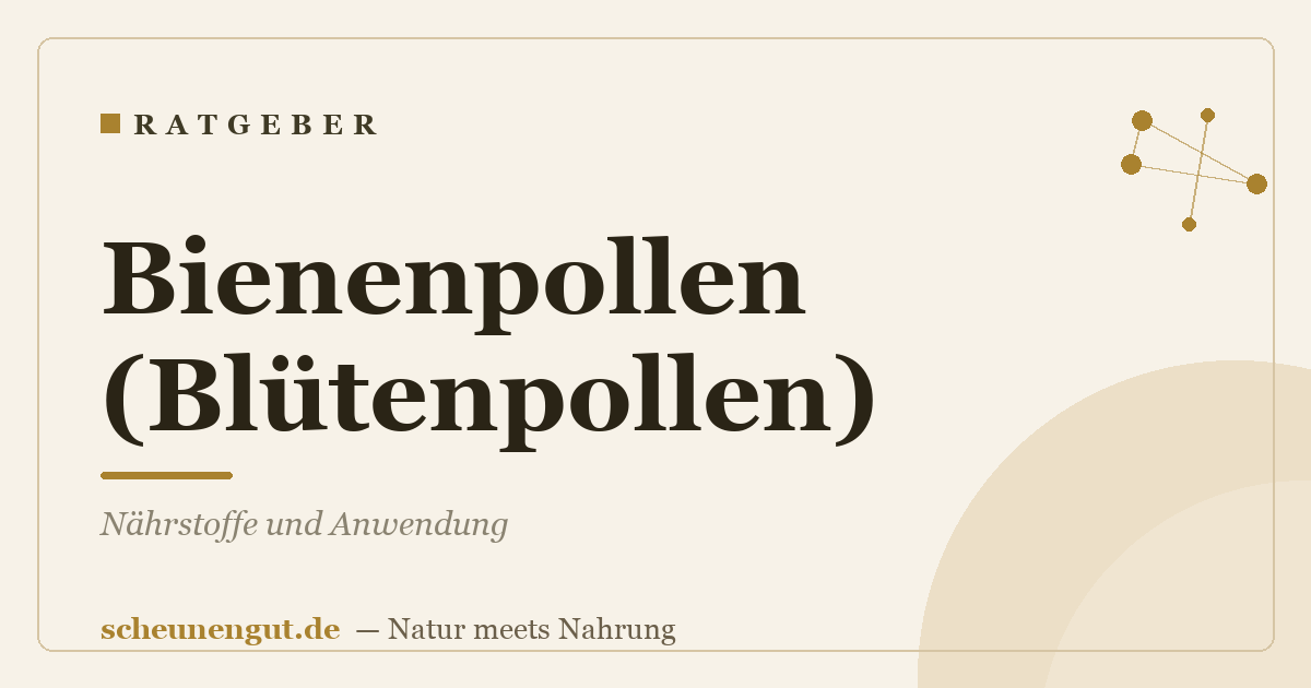 Bienenpollen (Blütenpollen): Nährstoffe und Anwendung