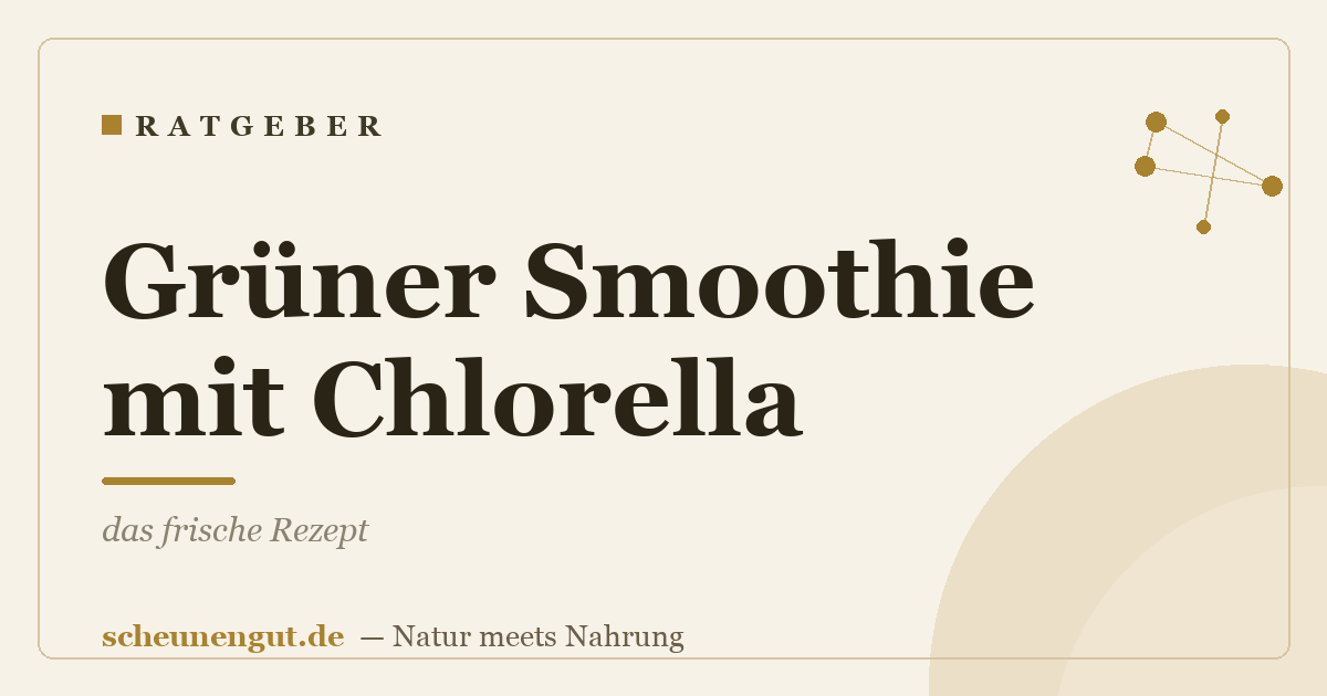 Grüner Smoothie mit Chlorella: das frische Rezept