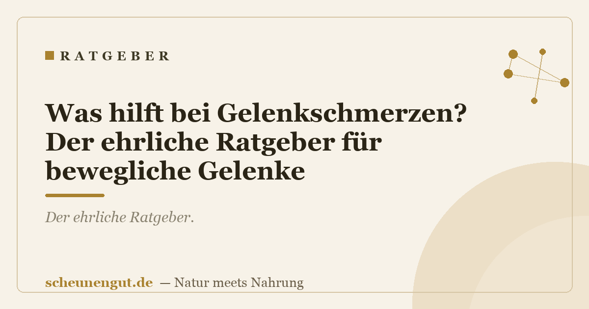 Was hilft bei Gelenkschmerzen? Der ehrliche Ratgeber für bewegliche Gelenke