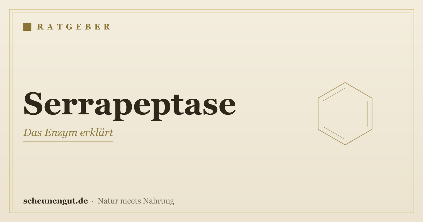 Serrapeptase: das Enzym erklärt – Ratgeber von Scheunengut