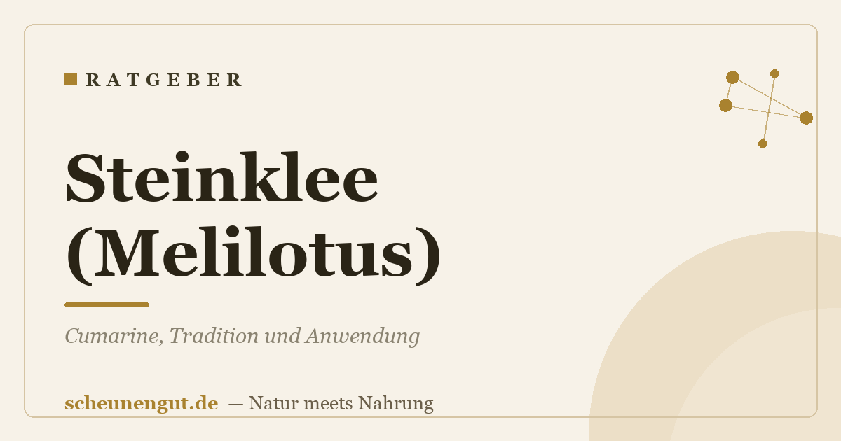 Steinklee (Melilotus): Cumarine, Tradition und Anwendung