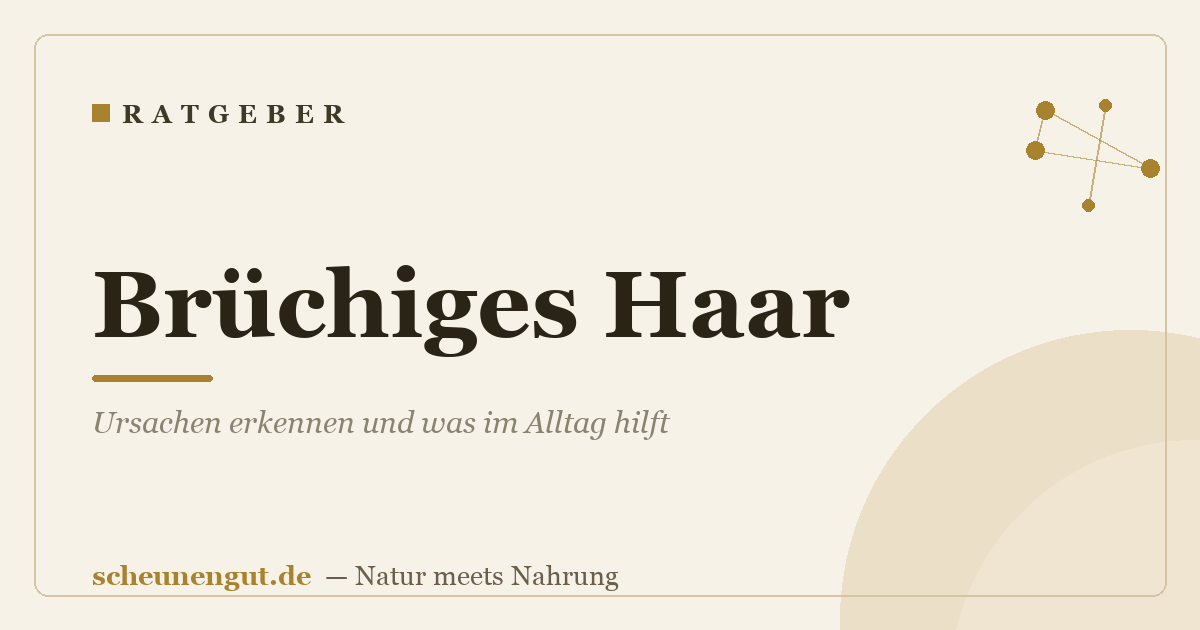 Brüchiges Haar: Ursachen erkennen und was im Alltag hilft