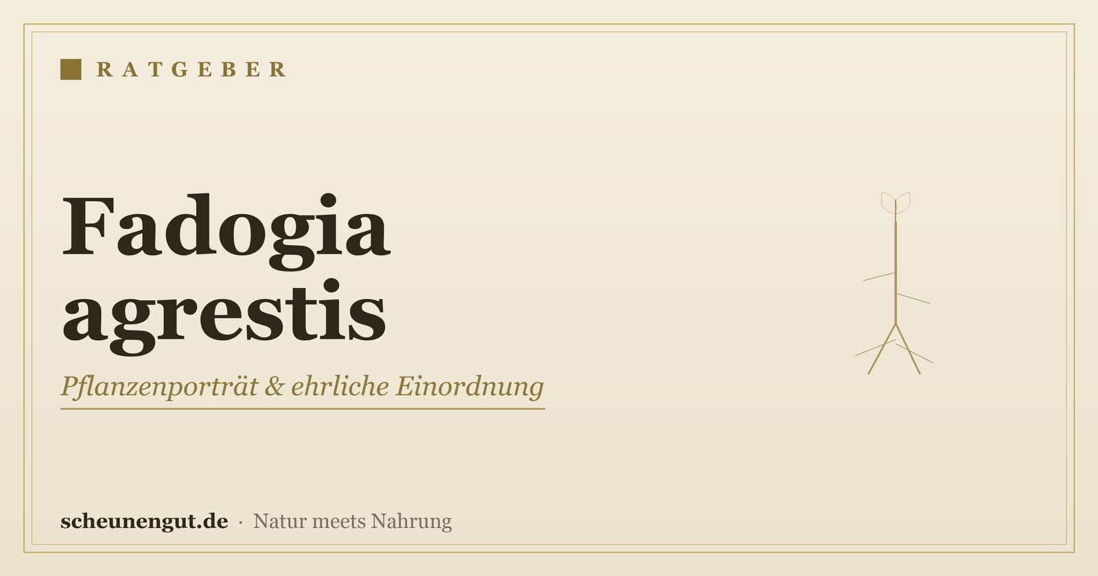 Fadogia agrestis: Pflanzenporträt, Tradition und ehrliche Studienlage – Ratgeber von Scheunengut