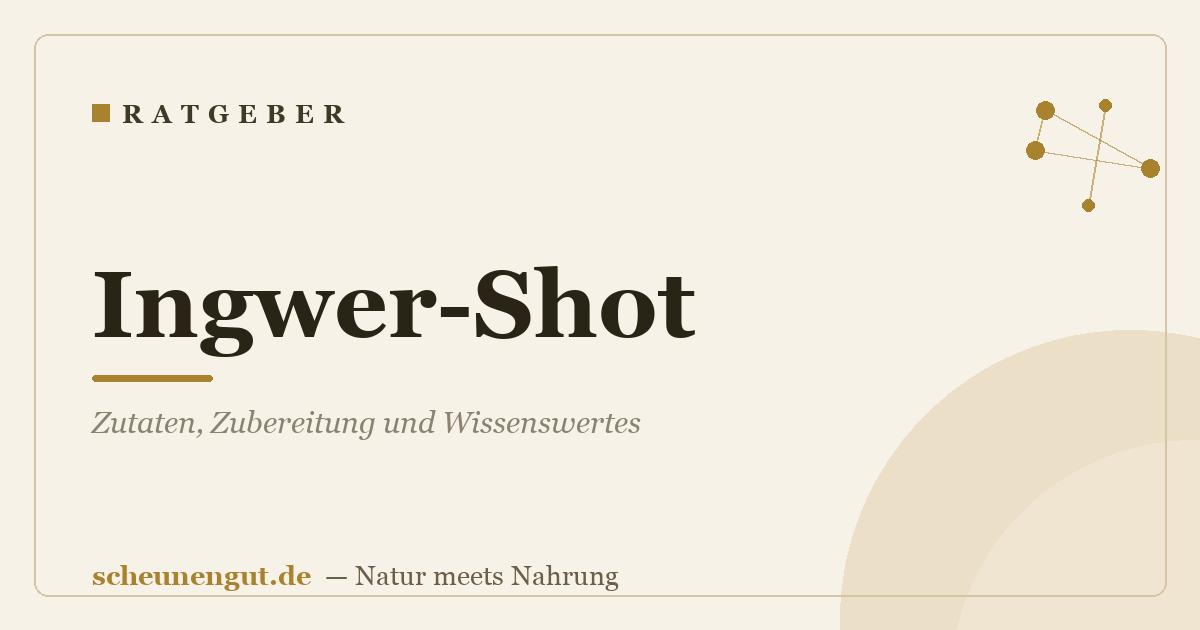 Ingwer-Shot: Zutaten, Zubereitung und Wissenswertes