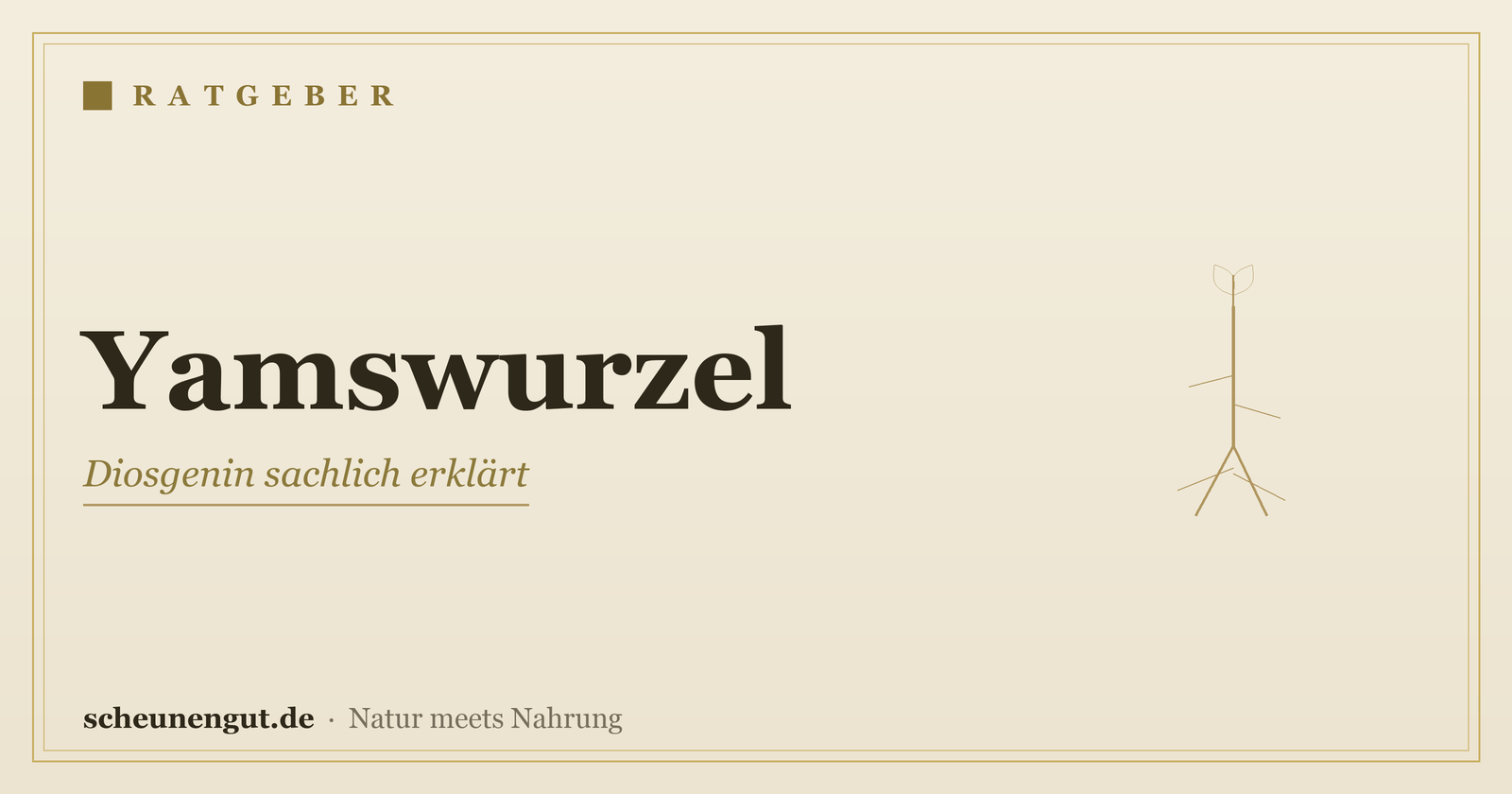 Yamswurzel & Diosgenin sachlich erklärt – Ratgeber von Scheunengut