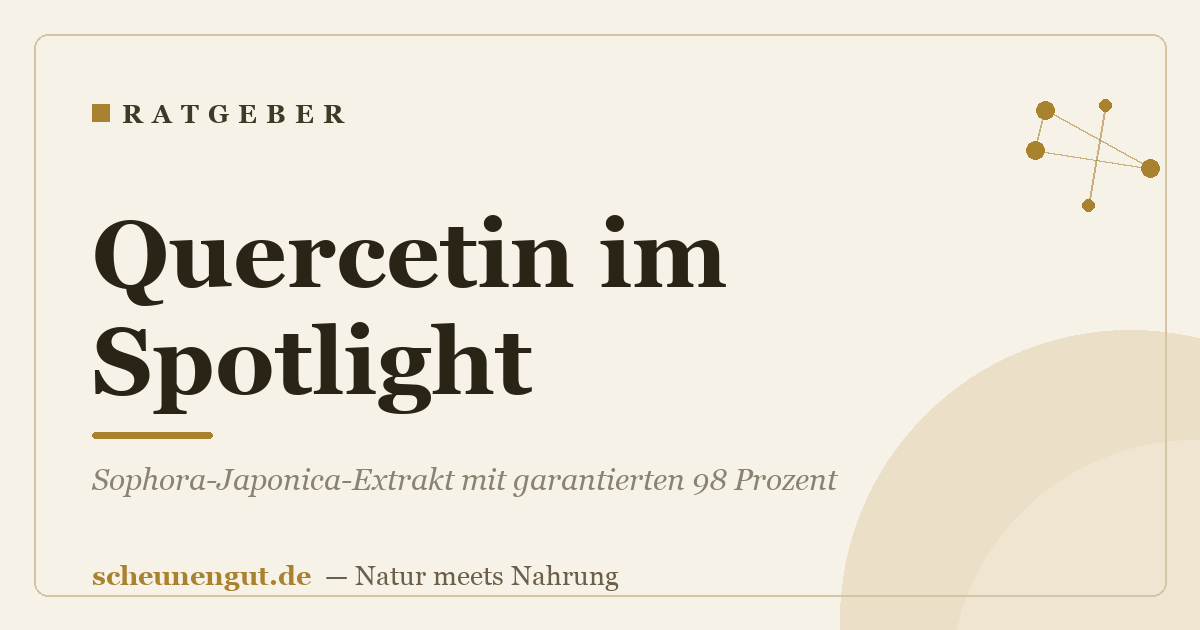 Quercetin im Spotlight: Sophora-Japonica-Extrakt mit garantierten 98 Prozent