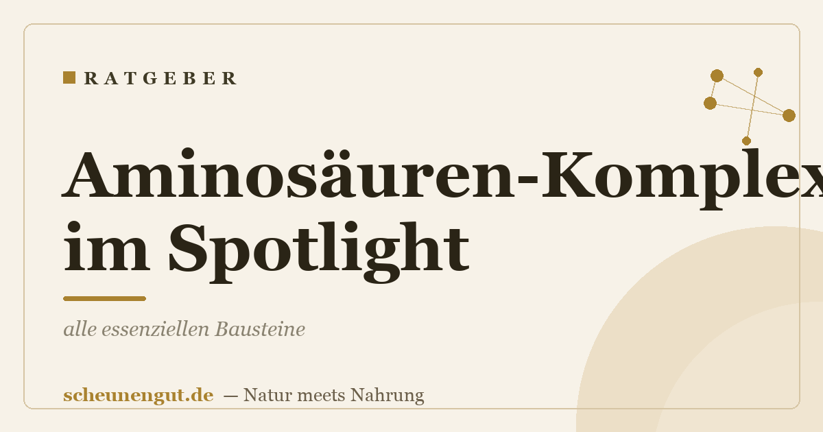 Aminosäuren-Komplex im Spotlight: alle essenziellen Bausteine