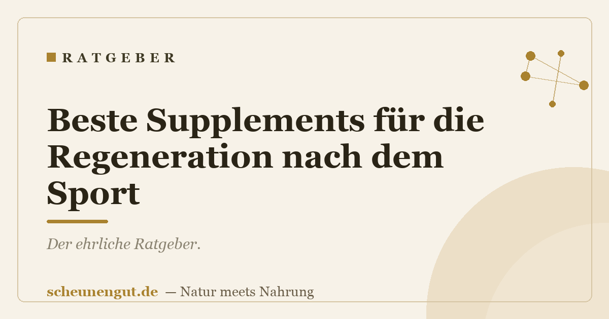 Beste Supplements für die Regeneration nach dem Sport