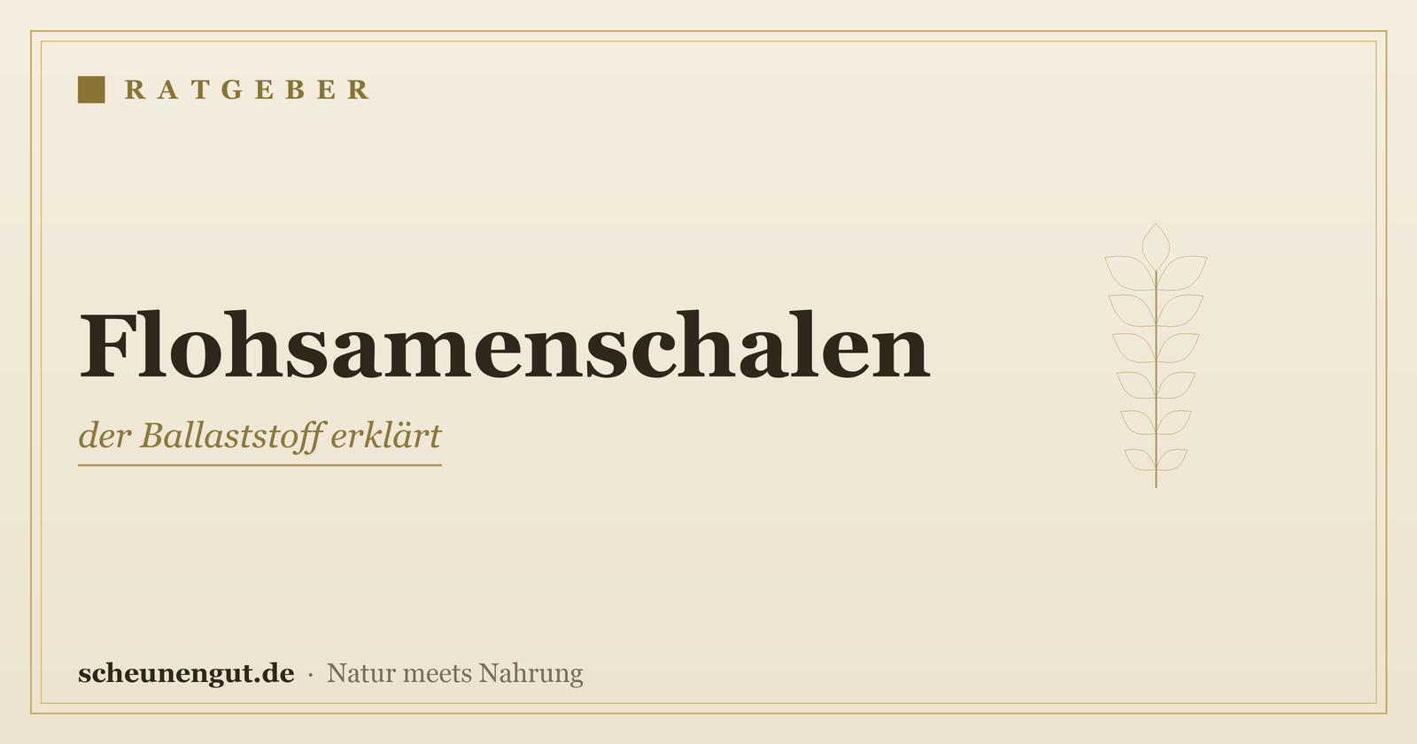 Flohsamenschalen: der Ballaststoff erklärt – Ratgeber von Scheunengut