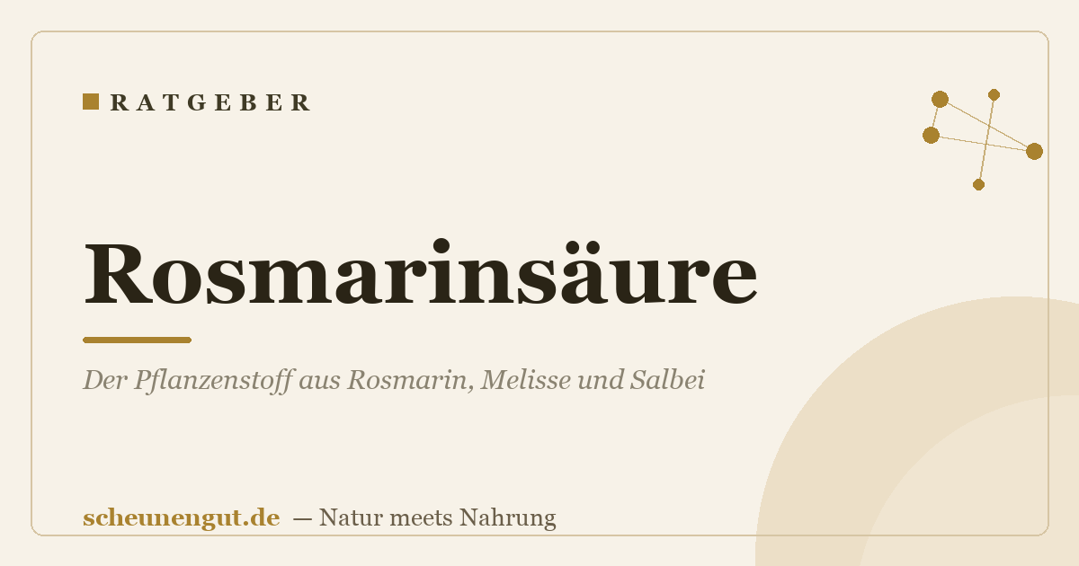 Rosmarinsäure: Der Pflanzenstoff aus Rosmarin, Melisse und Salbei
