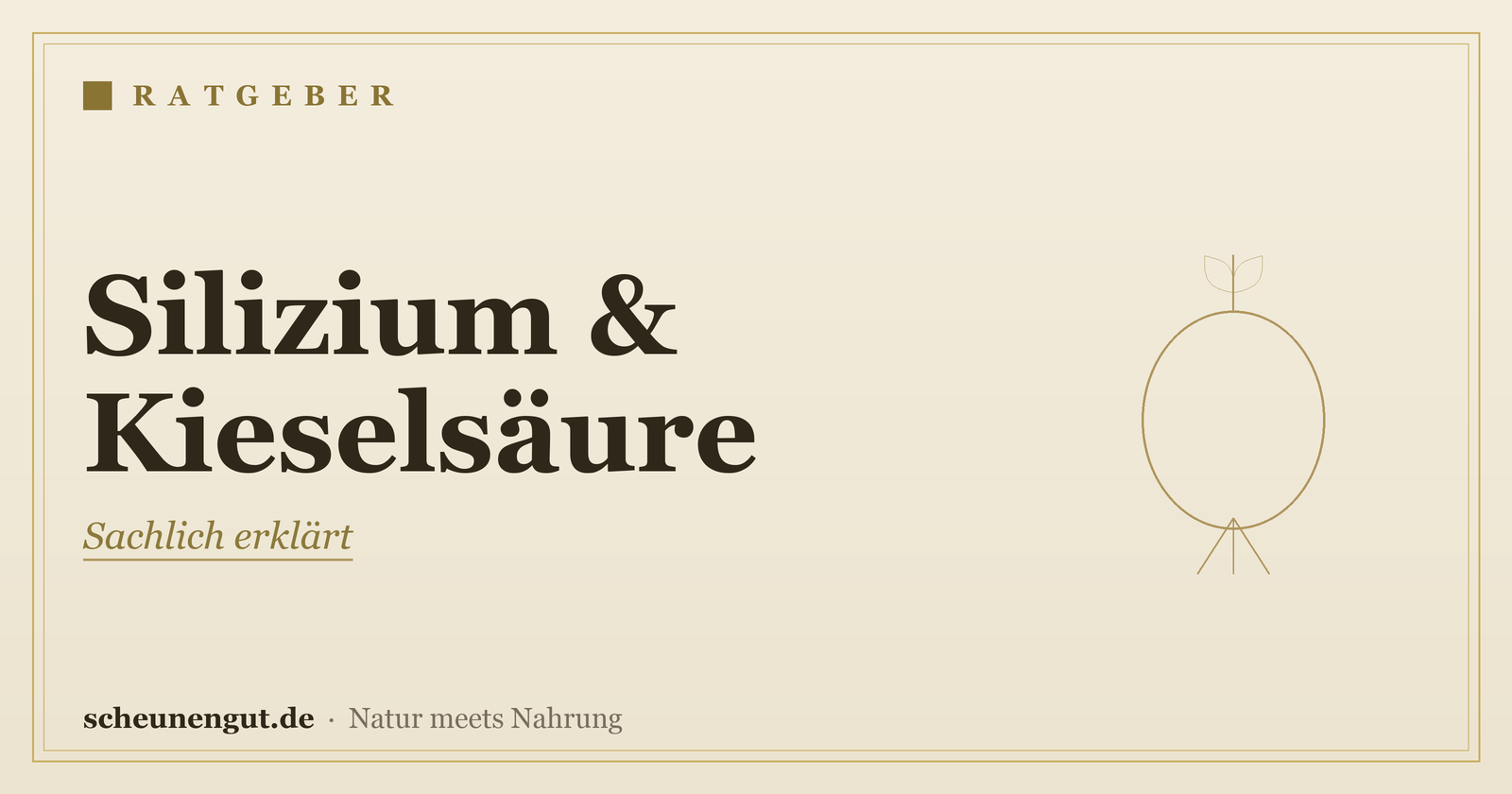 Silizium & Kieselsäure: sachlich erklärt – Ratgeber von Scheunengut
