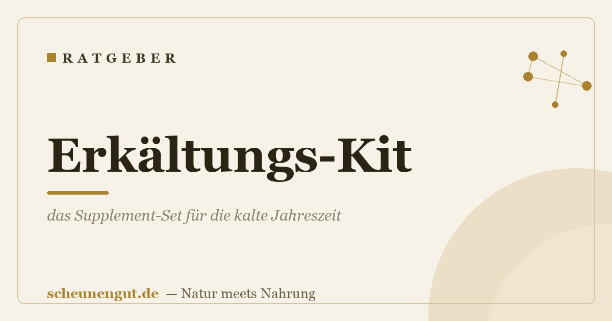 Erkältungs-Kit: das Supplement-Set für die kalte Jahreszeit