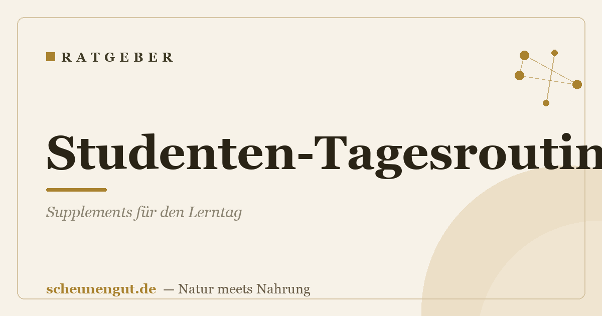 Studenten-Tagesroutine: Supplements für den Lerntag
