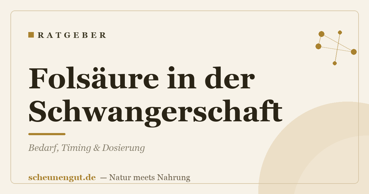 Folsäure in der Schwangerschaft – Bedarf, Timing & Dosierung