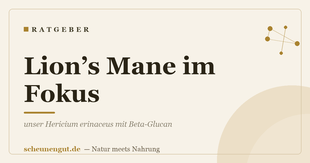 Lion’s Mane im Fokus: unser Hericium erinaceus mit Beta-Glucan