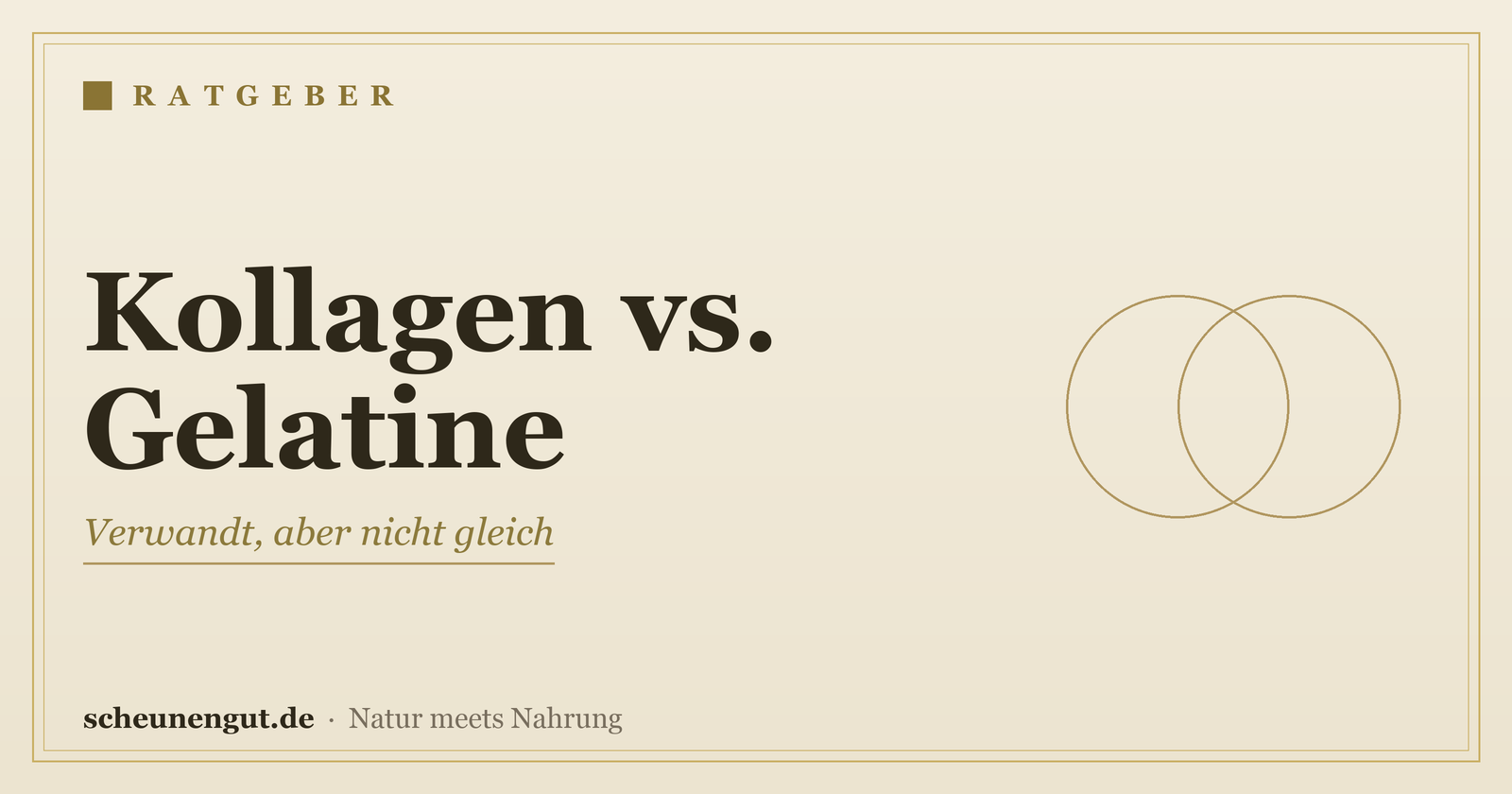 Kollagen oder Gelatine? Der Unterschied – Ratgeber von Scheunengut