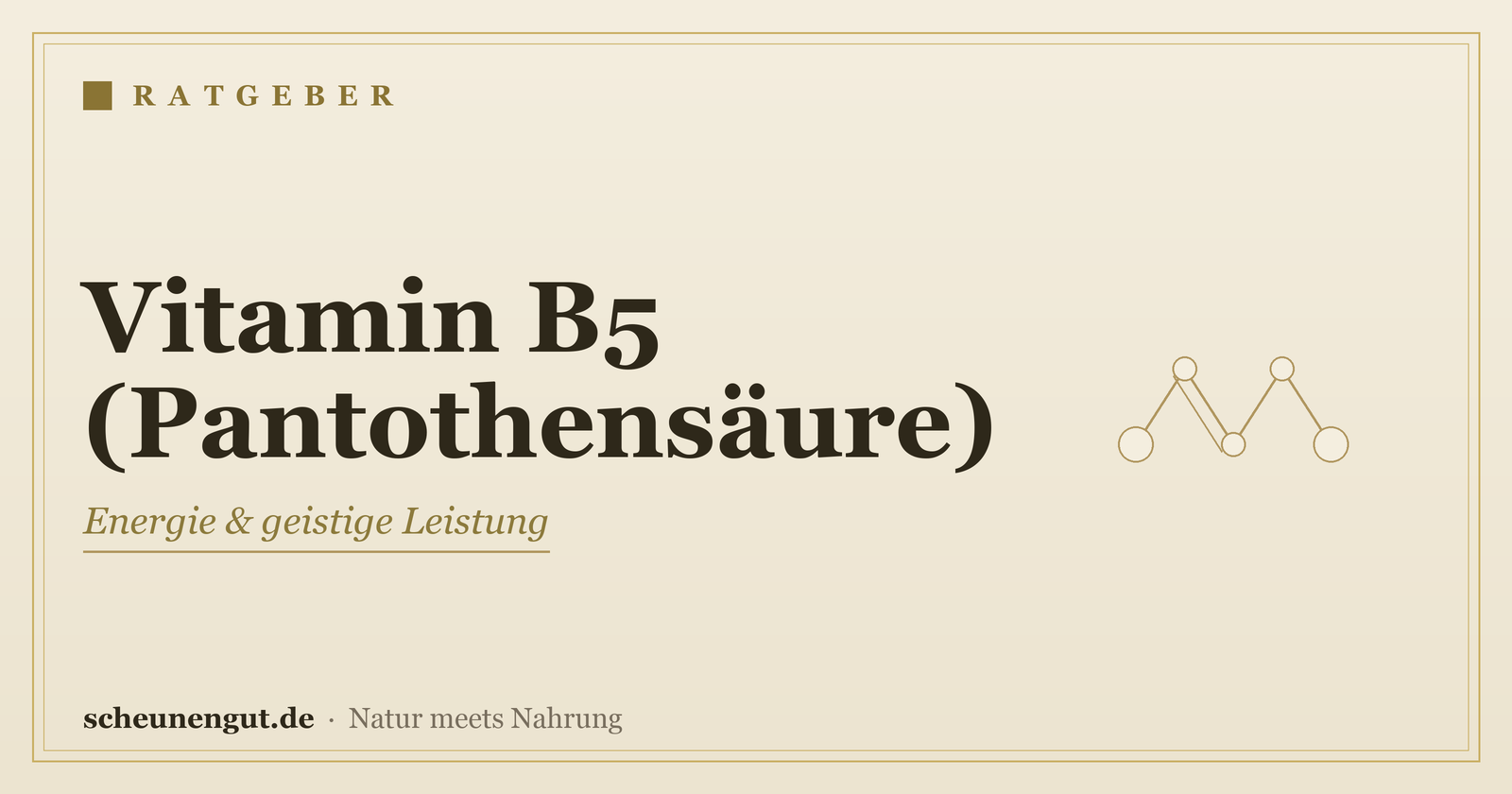 Vitamin B5 (Pantothensäure): Wirkung & Bedarf – Ratgeber von Scheunengut