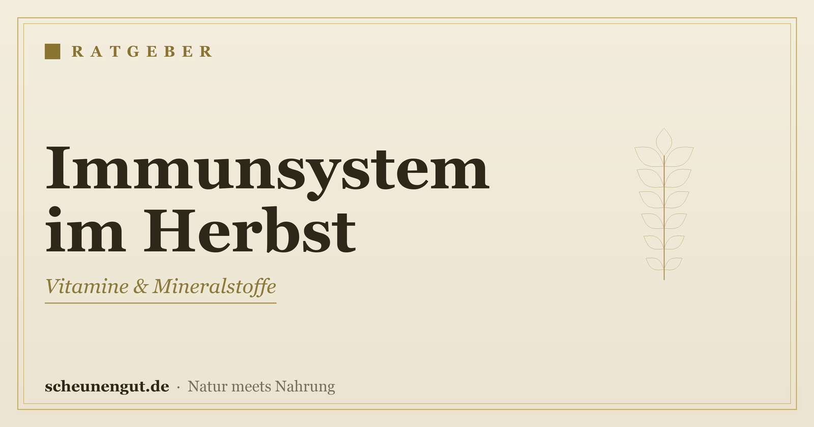 Immunsystem im Herbst aufbauen: Vitamine & Mineralstoffe – Ratgeber von Scheunengut
