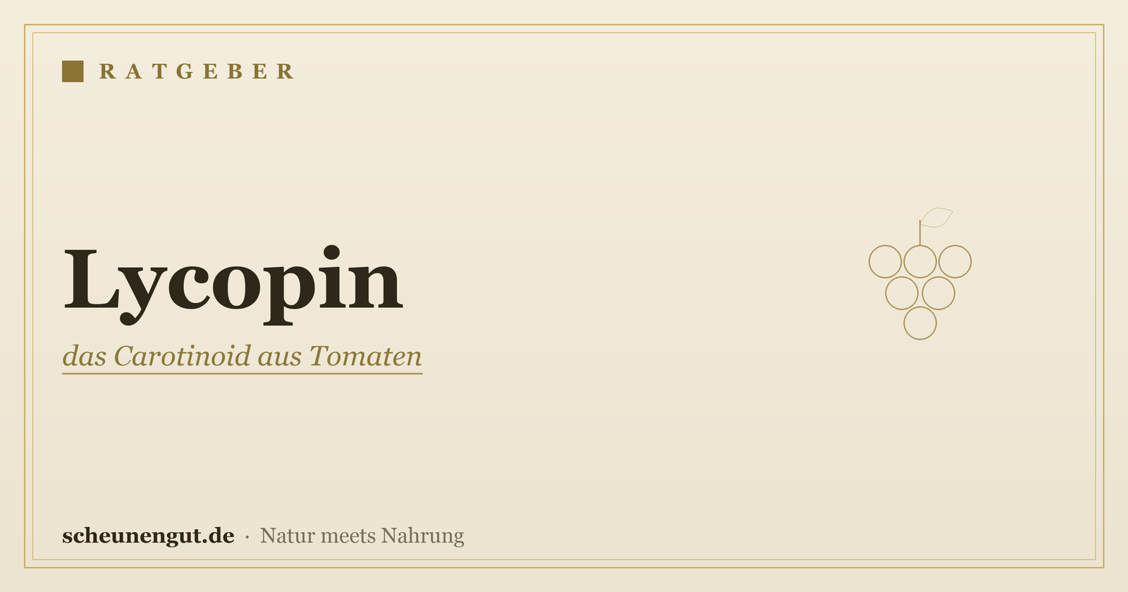 Lycopin: das Carotinoid aus Tomaten – Ratgeber von Scheunengut
