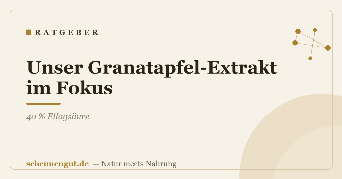 Unser Granatapfel-Extrakt im Fokus: 40 % Ellagsäure