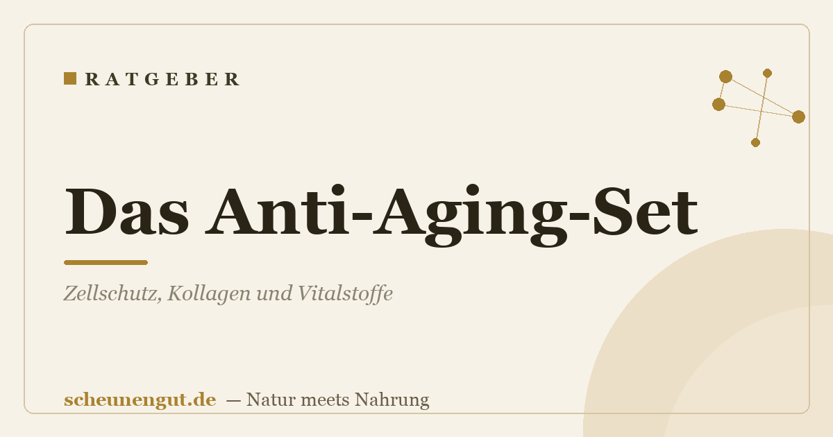 Das Anti-Aging-Set: Zellschutz, Kollagen und Vitalstoffe