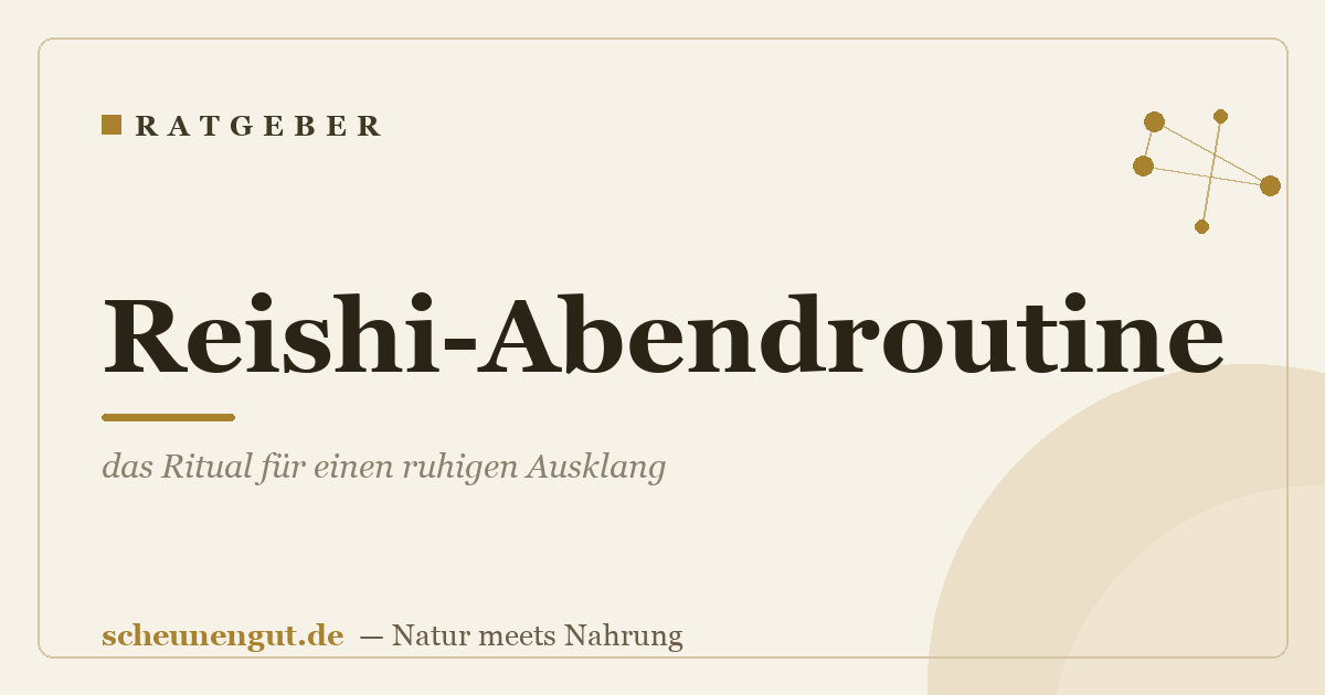 Reishi-Abendroutine: das Ritual für einen ruhigen Ausklang