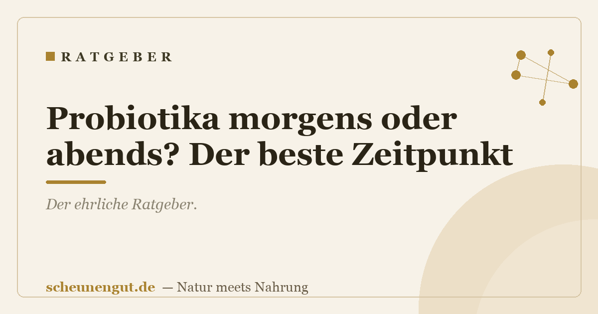 Probiotika morgens oder abends? Der beste Zeitpunkt