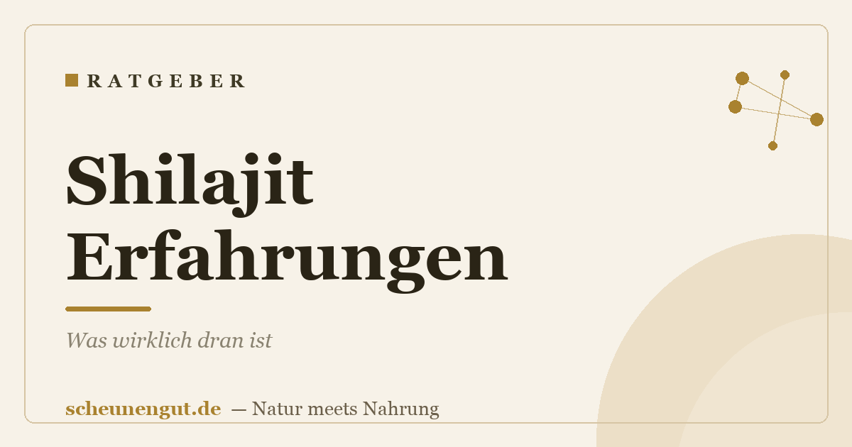 Shilajit Erfahrungen: Was wirklich dran ist