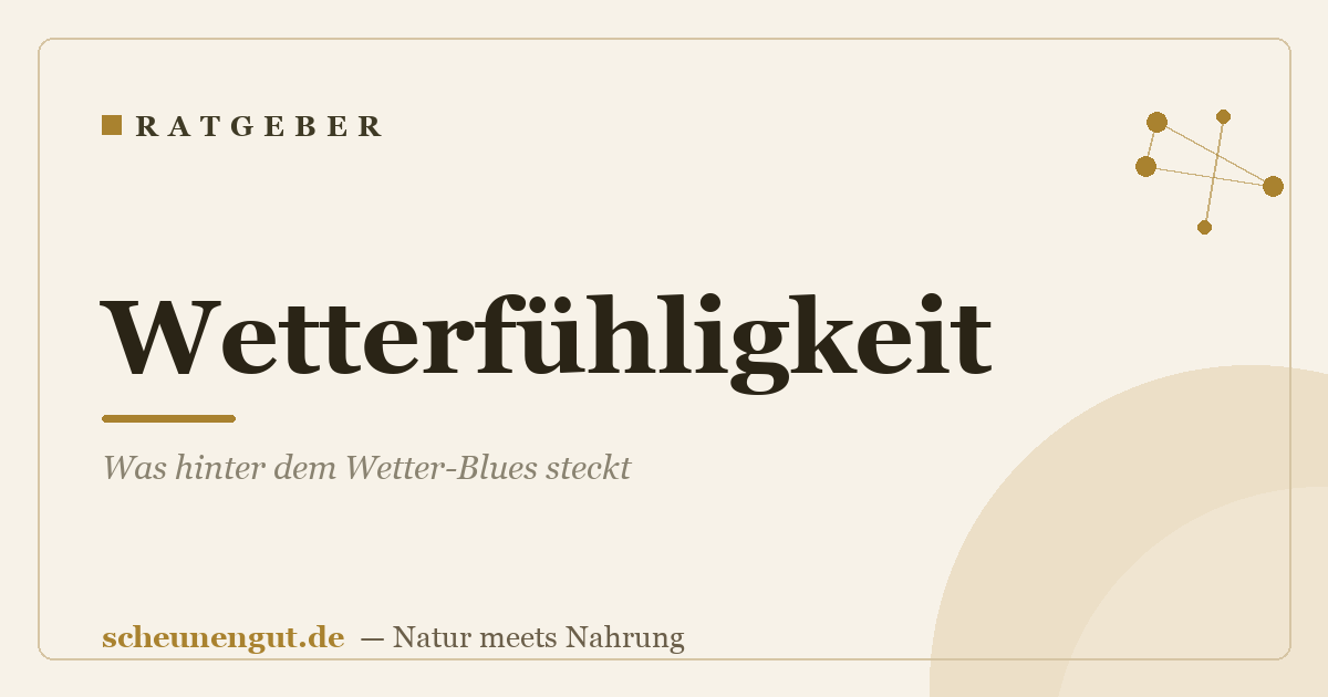 Wetterfühligkeit: Was hinter dem Wetter-Blues steckt