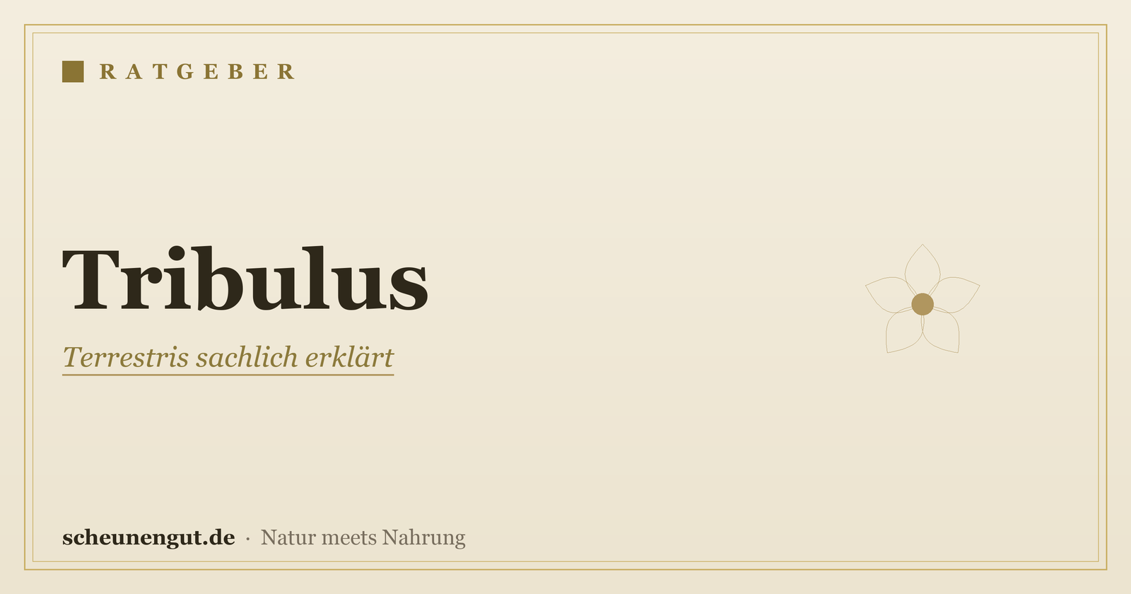 Tribulus terrestris: sachlich erklärt – Ratgeber von Scheunengut