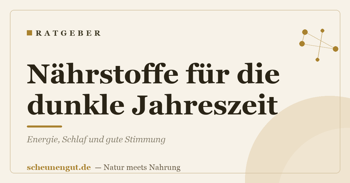 Nährstoffe für die dunkle Jahreszeit: Energie, Schlaf und gute Stimmung