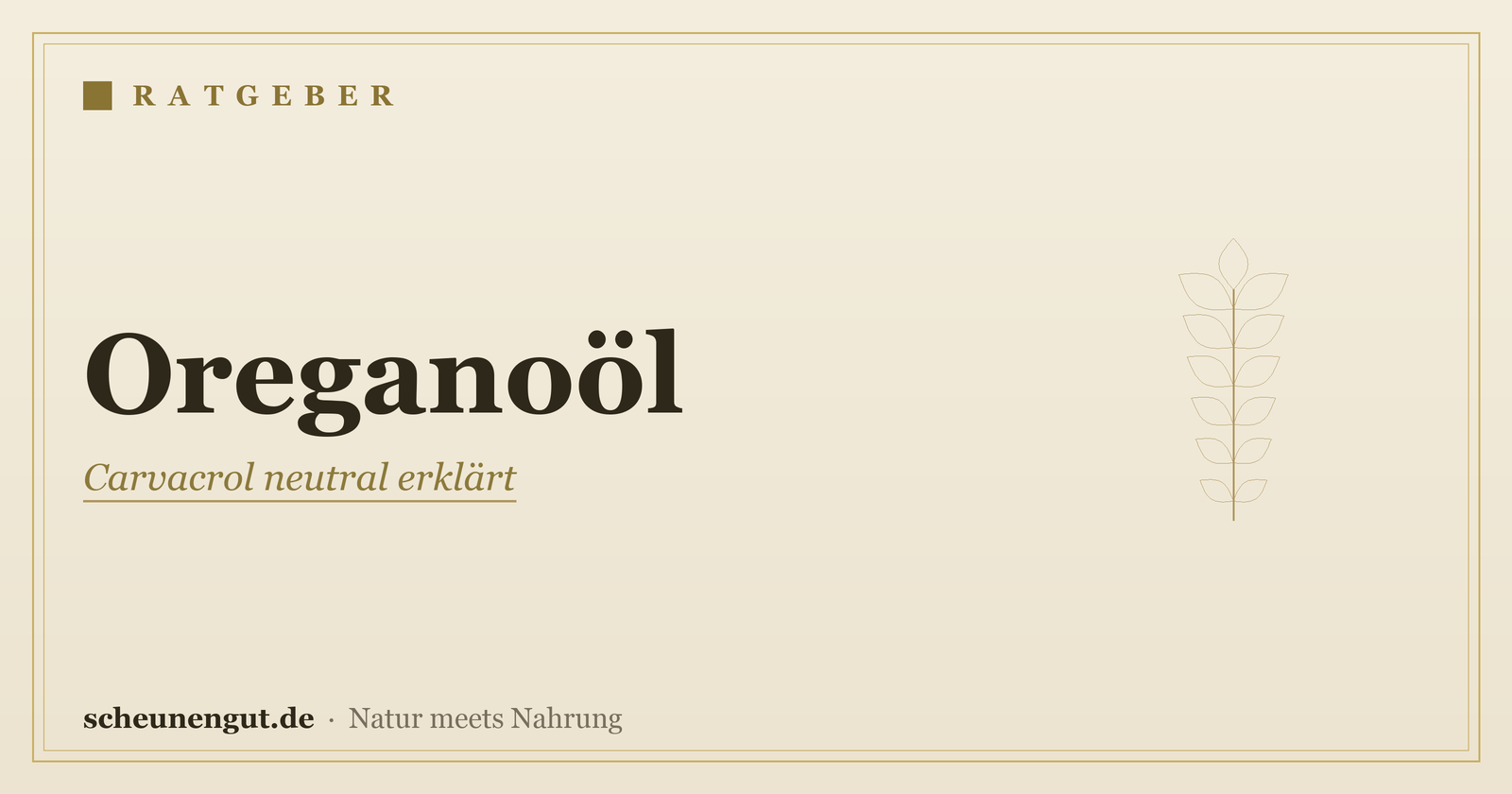 Oreganoöl (Carvacrol): Wirkung und Anwendung erklärt – Ratgeber von Scheunengut