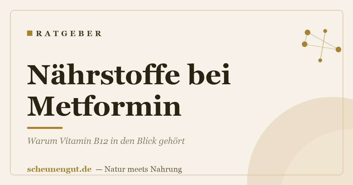 Nährstoffe bei Metformin: Warum Vitamin B12 in den Blick gehört