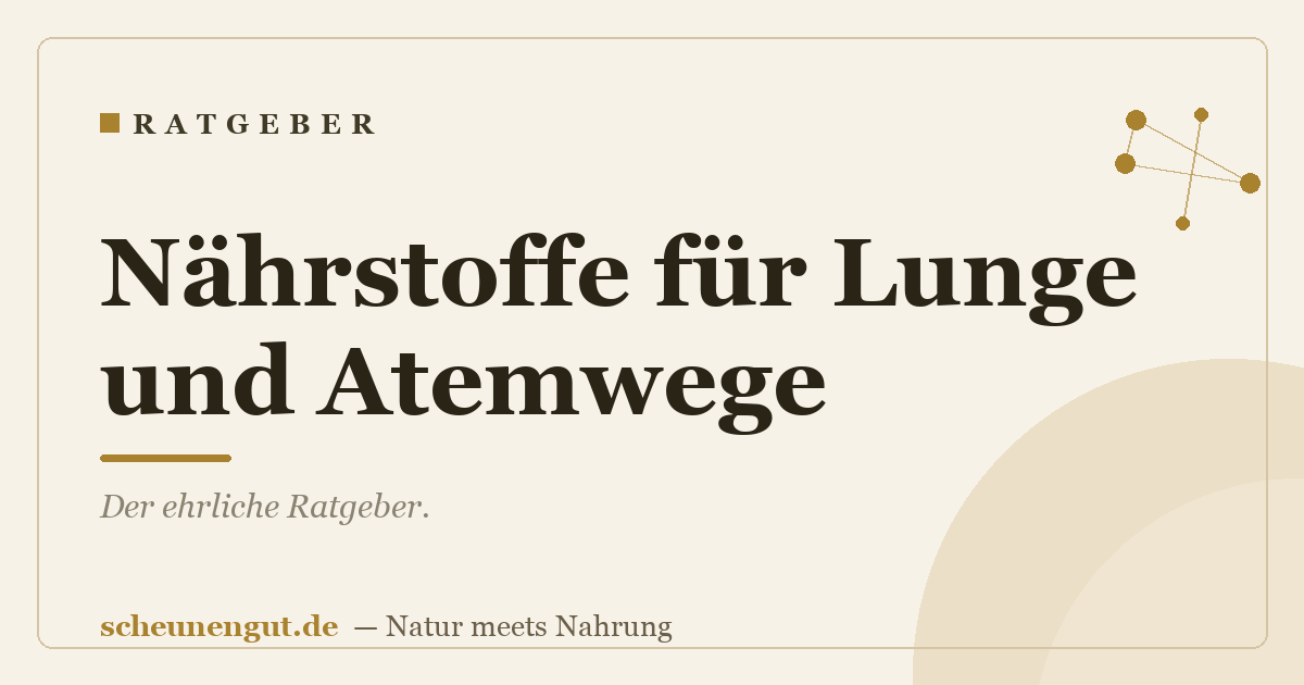 Nährstoffe für Lunge und Atemwege
