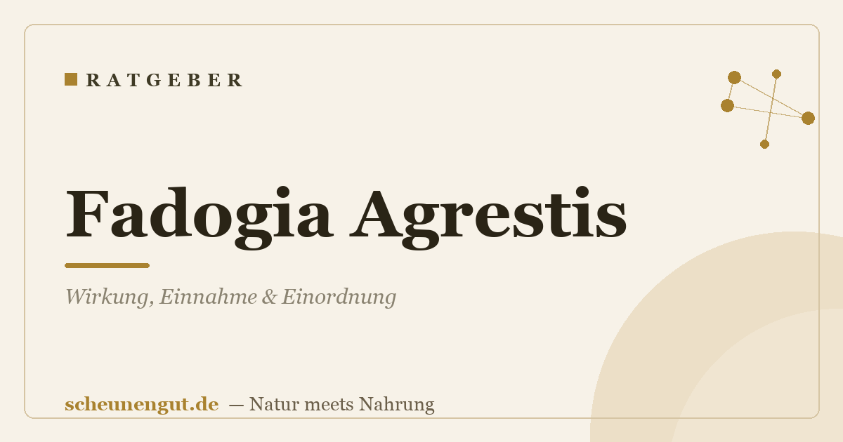 Fadogia Agrestis: Wirkung, Einnahme & Einordnung