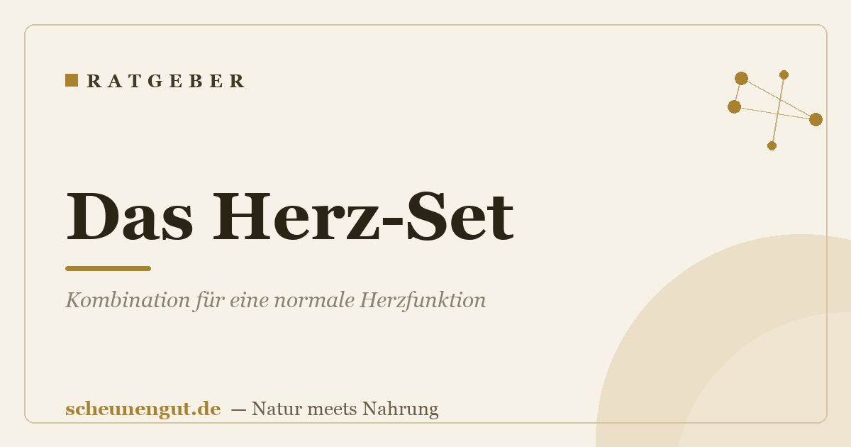 Das Herz-Set: Kombination für eine normale Herzfunktion