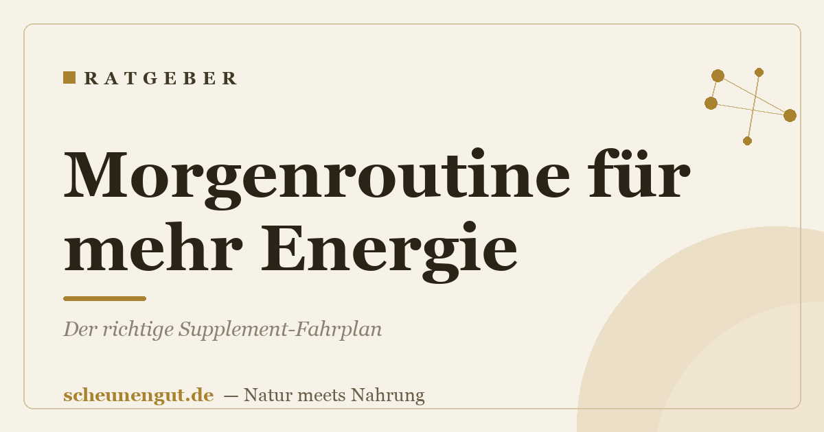 Morgenroutine für mehr Energie: Der richtige Supplement-Fahrplan