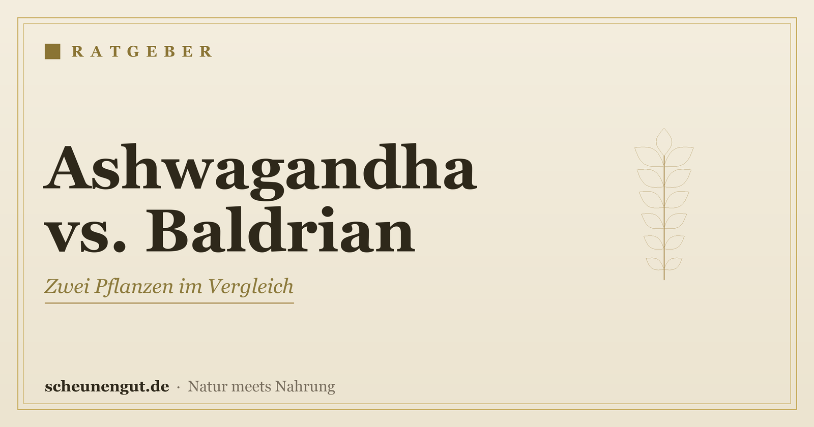 Ashwagandha oder Baldrian? Der ehrliche Vergleich – Ratgeber von Scheunengut