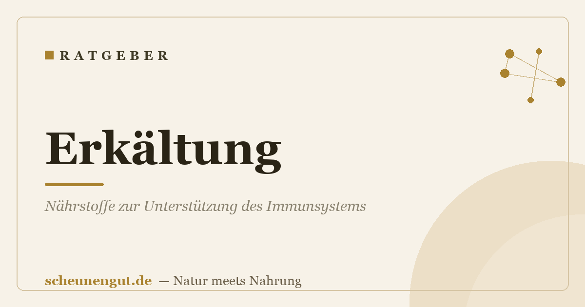 Erkältung: Nährstoffe zur Unterstützung des Immunsystems
